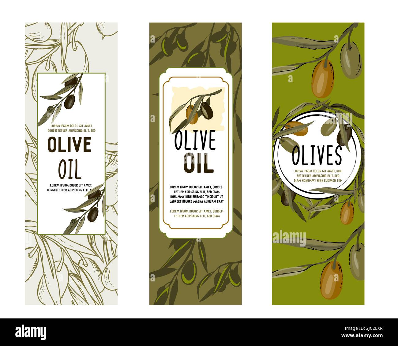 Olive Oil vector labels or badges set, hand dawn illustration