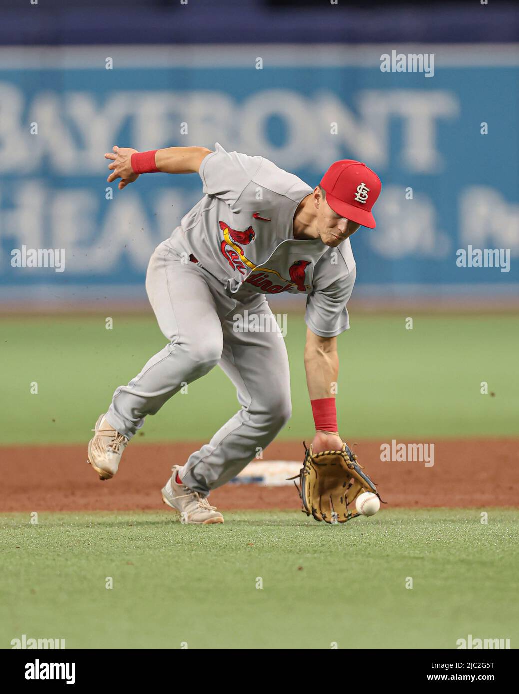 Tommy Edman #19 of the St. Louis Cardinals pre-match warm up ahead of the  2023 MLB London Series match St. Louis Cardinals vs Chicago Cubs at London  Stadium, London, United Kingdom, 25th