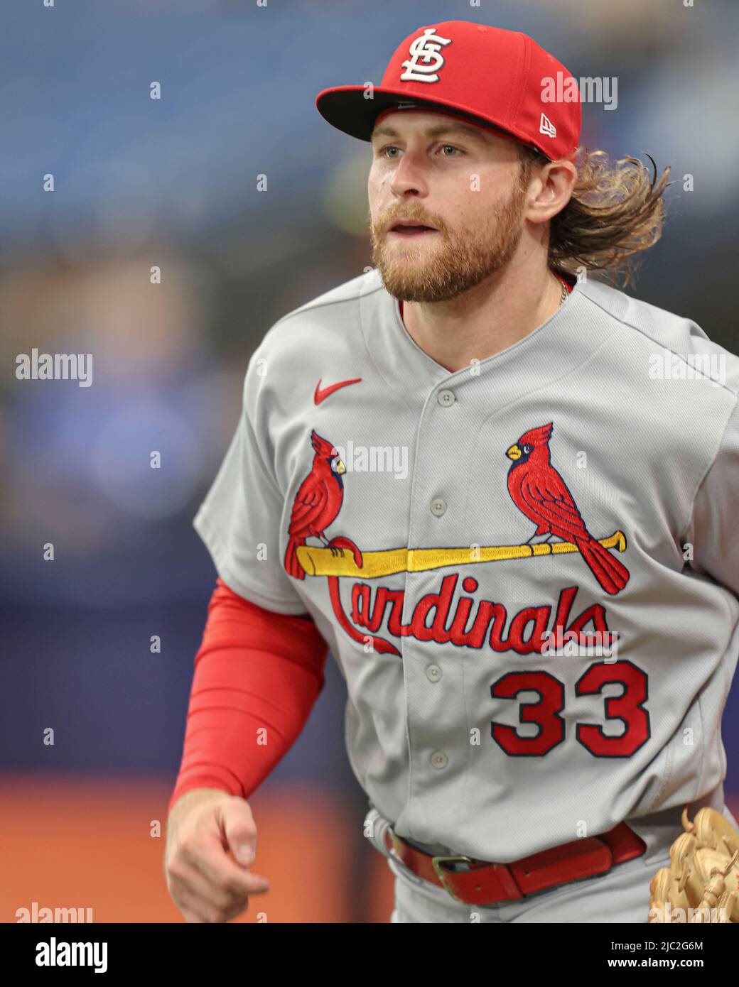 St. Petersburg, FL. USA; St. Louis Cardinals third baseman Brendan