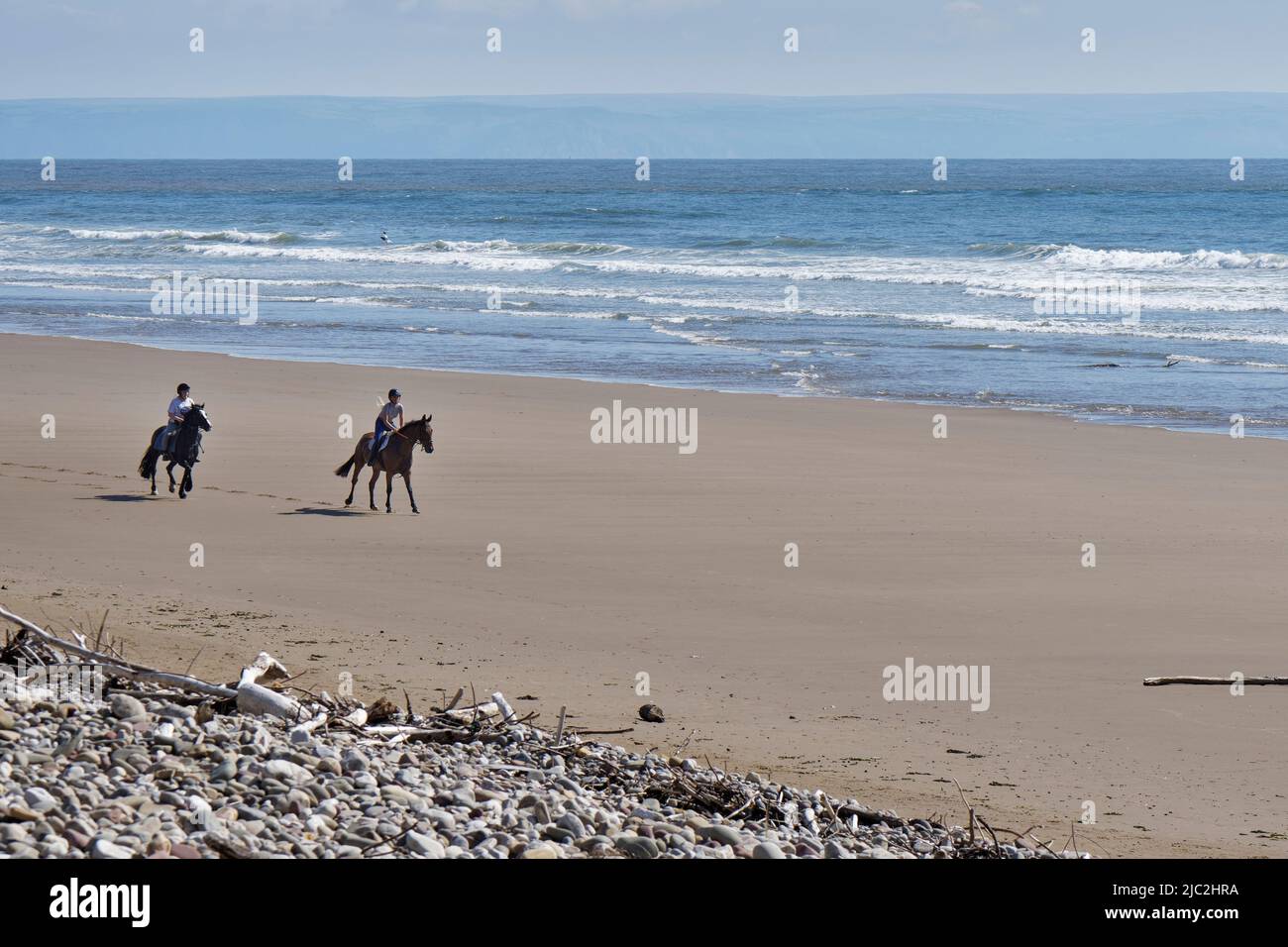 Two horses (Equus caballus) being ridden on a sandy beach at low tide, Sker Beach, Kenfig, Glamorgan, Wales, UK, June. Stock Photo