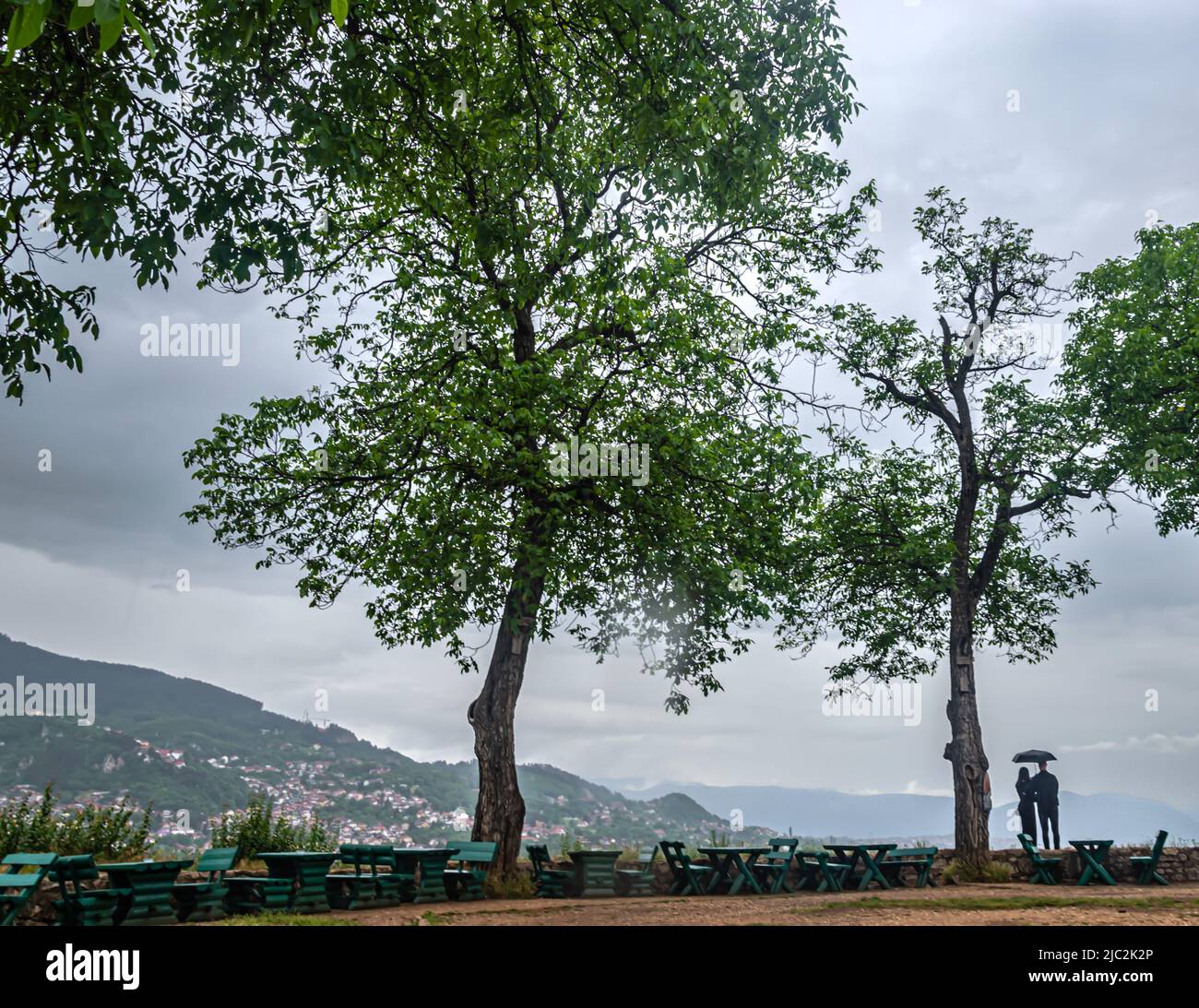 Sky rain trees hi-res stock photography and images - Alamy