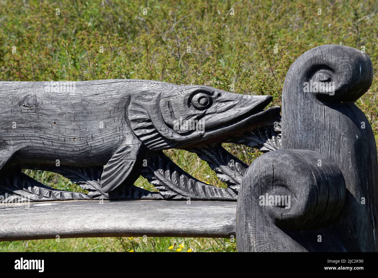 Carved wooden bench in the form of a Pike among sand dunes beside Kenfig Pool, Kenfig NNR, Glamorgan, Wales, UK, May. Stock Photo