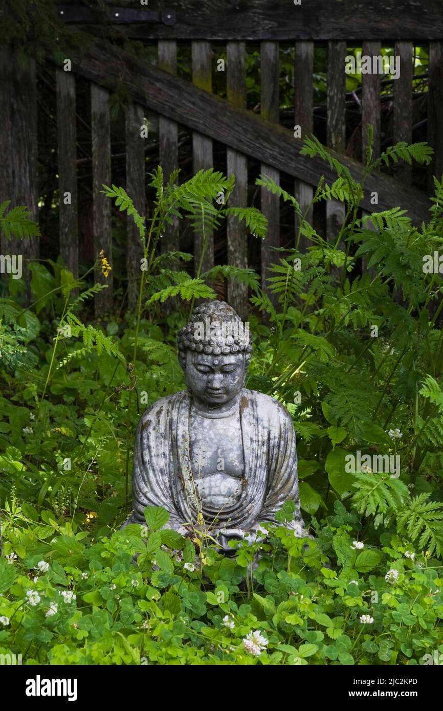 Sitting Buddha statue in landscaped backyard Zen garden in summer Stock