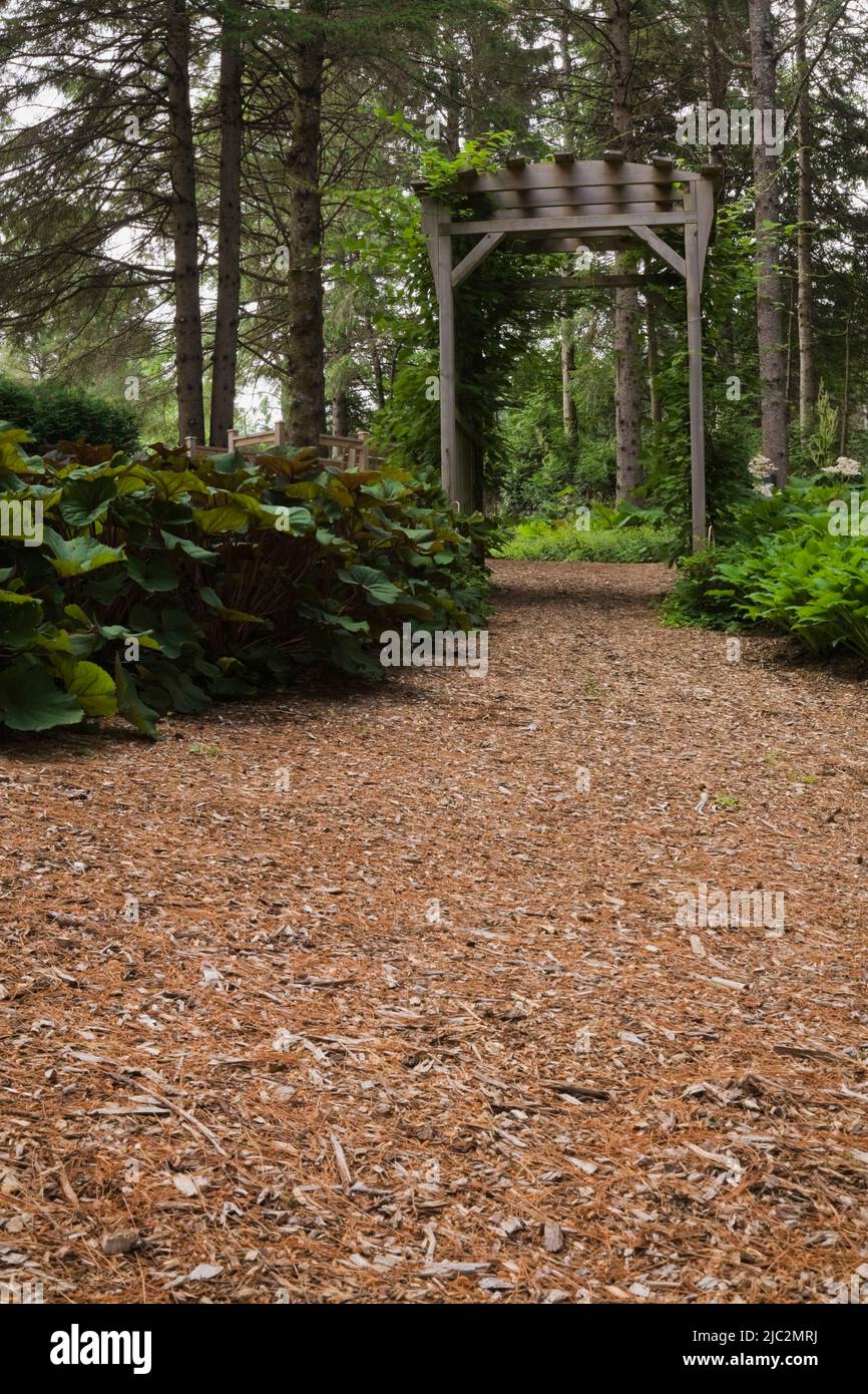 Cedar mulch footpath leading to wooden arbour in landscaped front yard garden in summer. Stock Photo