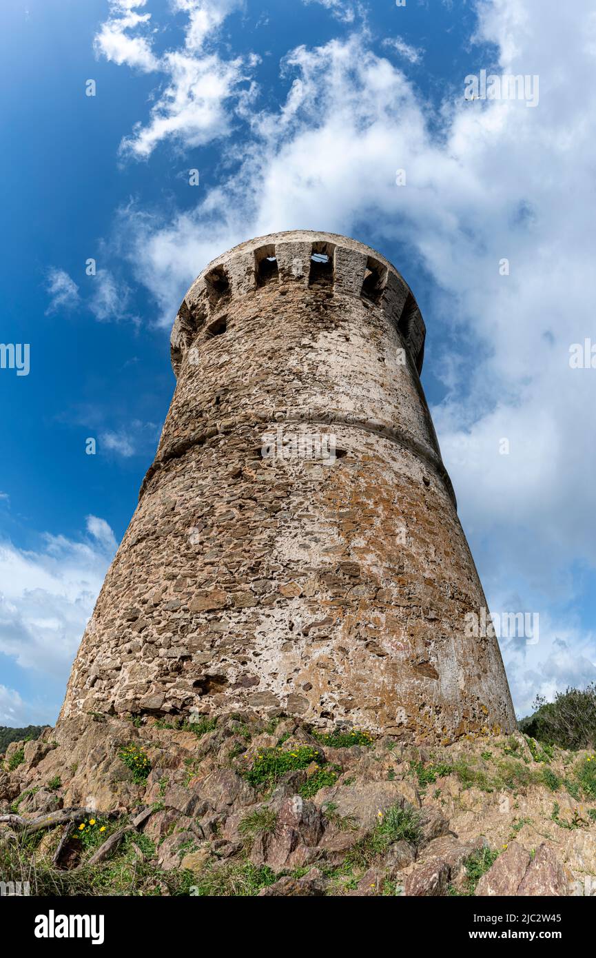 The Tower of Fautea or Torra di Fautea (32 meters, 105 ft) is a Genoese tower located in the commune of Zonza in the island of Corsica. Stock Photo