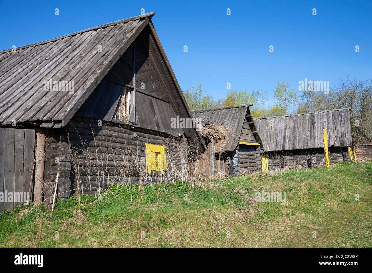 A fragment of an abandoned village in the Pskov region. Russia Stock Photo