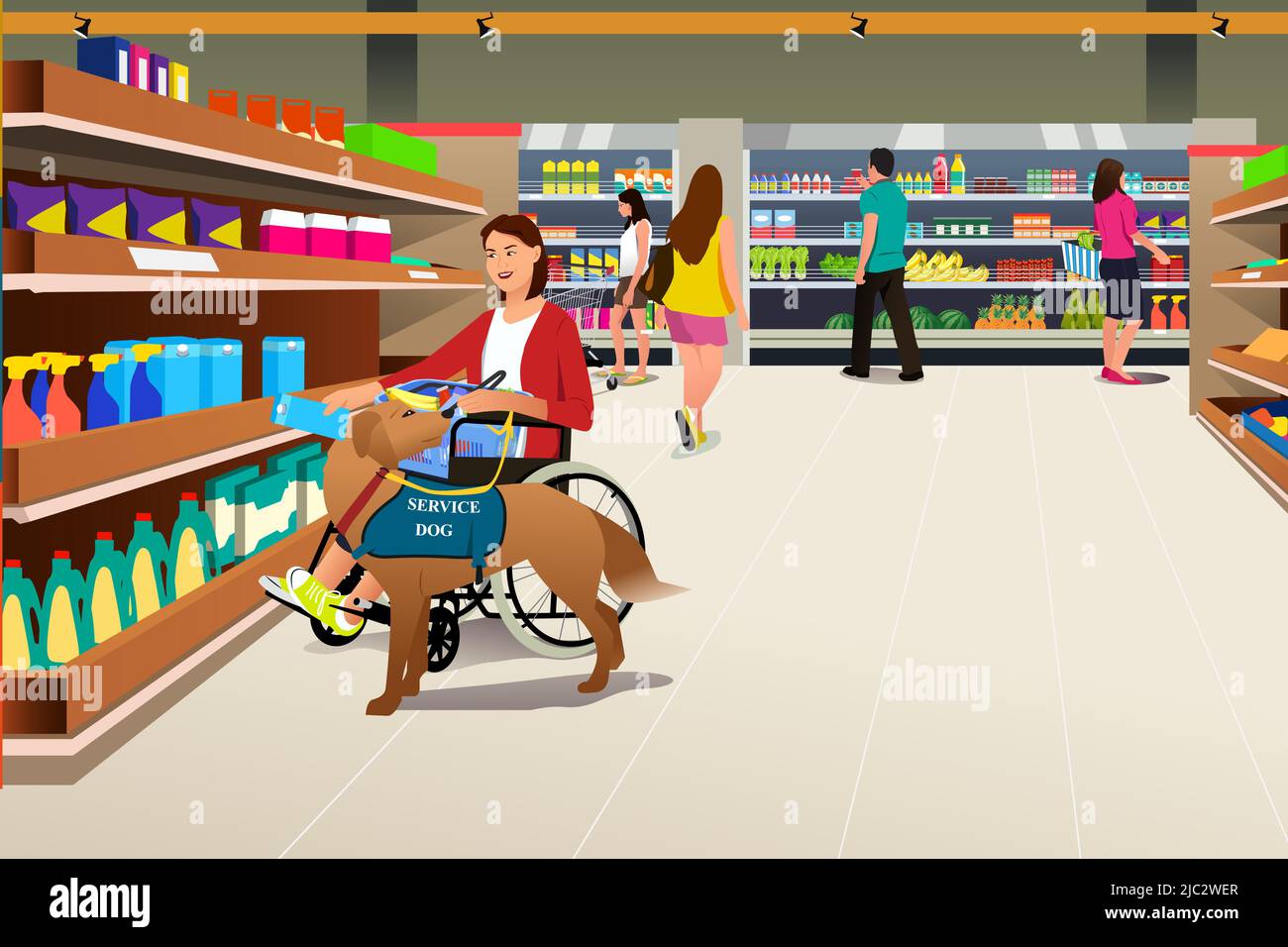 A vector illustration of Lady in a Wheelchair Grocery Shopping With Service Dog Stock Vector