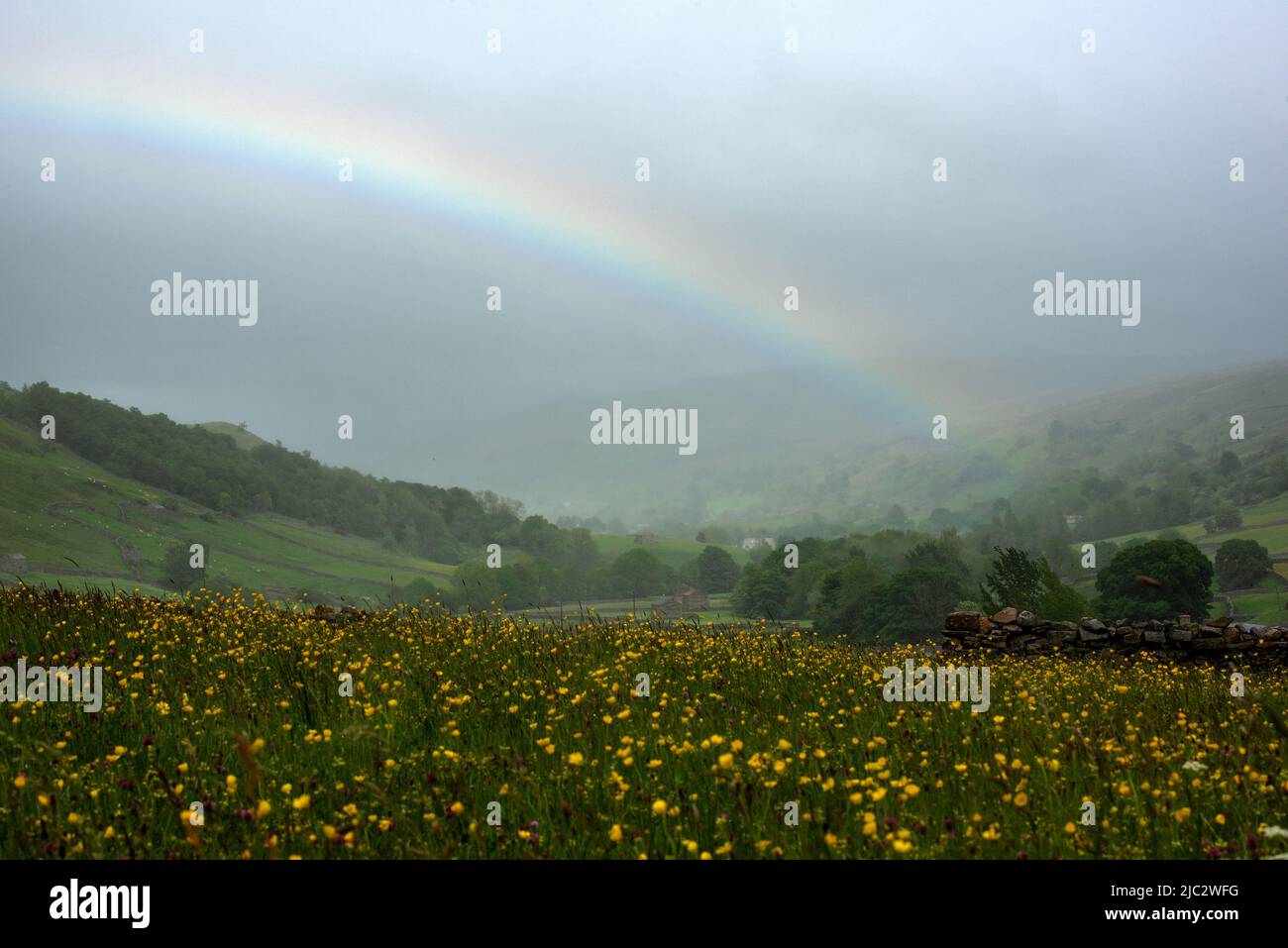 Thwaite, Yorkshire Dales, UK. 9th Jun 2022. A rainbow forms over the wildflower meadows at Thwaite in the Yorkshire Dales. Neil Squires/Alamy Live News Stock Photo