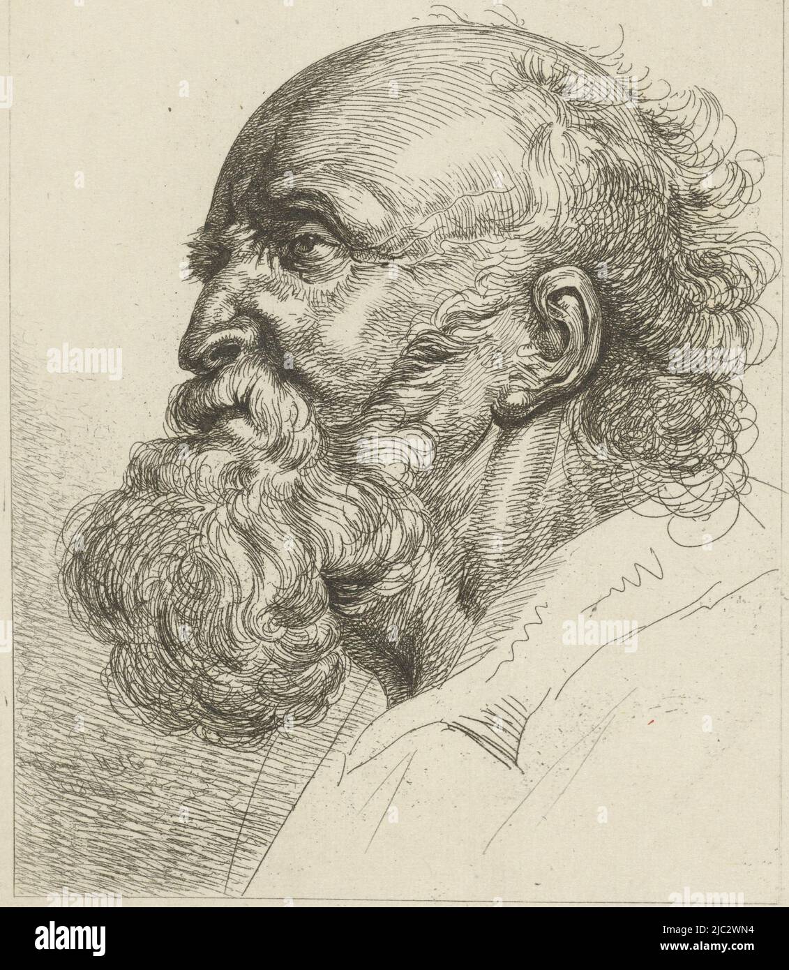 Portrait of an old man with beard, print maker: Jean Zacherie Mazel, (mentioned on object), Izaak Riewert Schmidt, Peter Paul Rubens, Netherlands, 1812, paper, etching, h 155 mm × w 118 mm Stock Photo