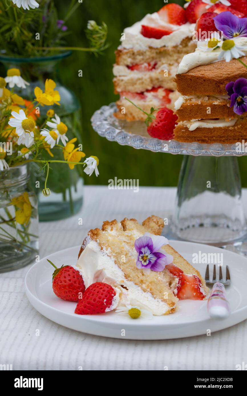 Scandinavian midsummer strawberry and cream cake Stock Photo Alamy