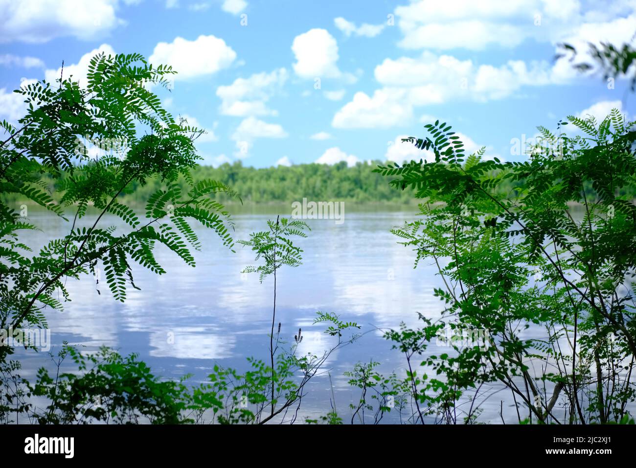 I shot this while hiking in the Indian Bayou area of the Atchafalaya