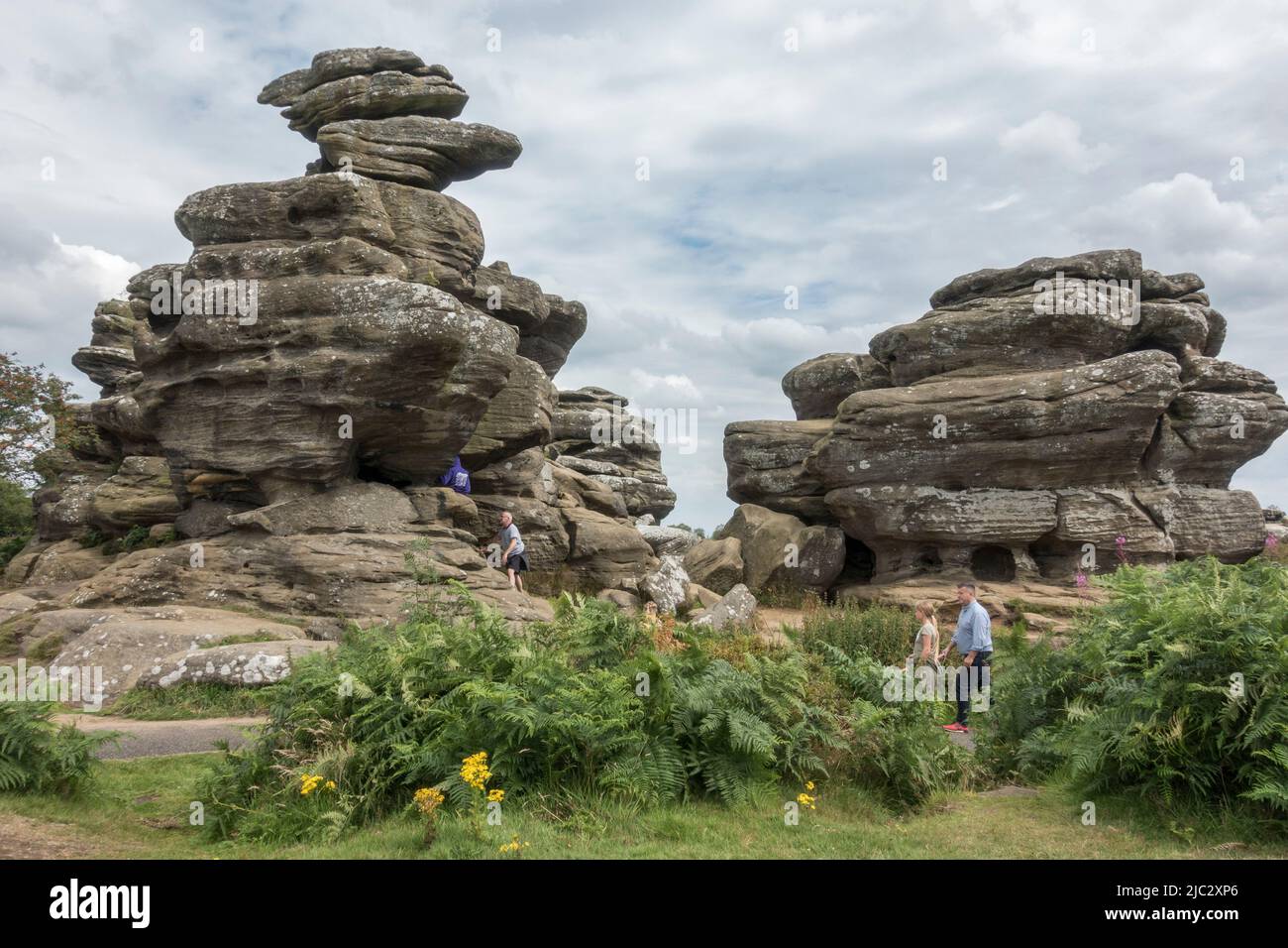 General view of part of Brimham Rocks, near Harrogate, North Yorkshire, UK. Stock Photo