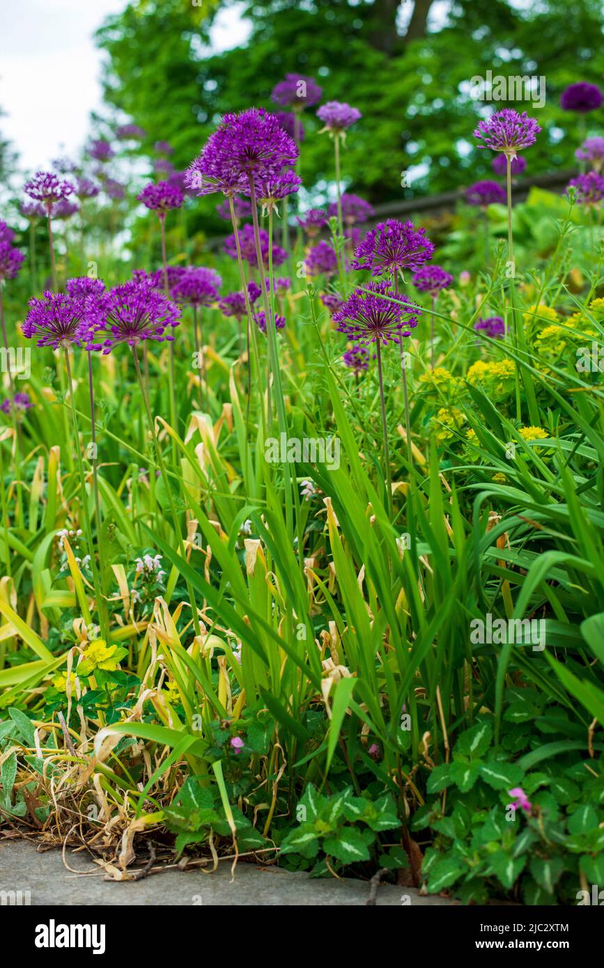 Royal Botanical Gardens Hendrie Park in Burlington Ontario Canada Stock Photo