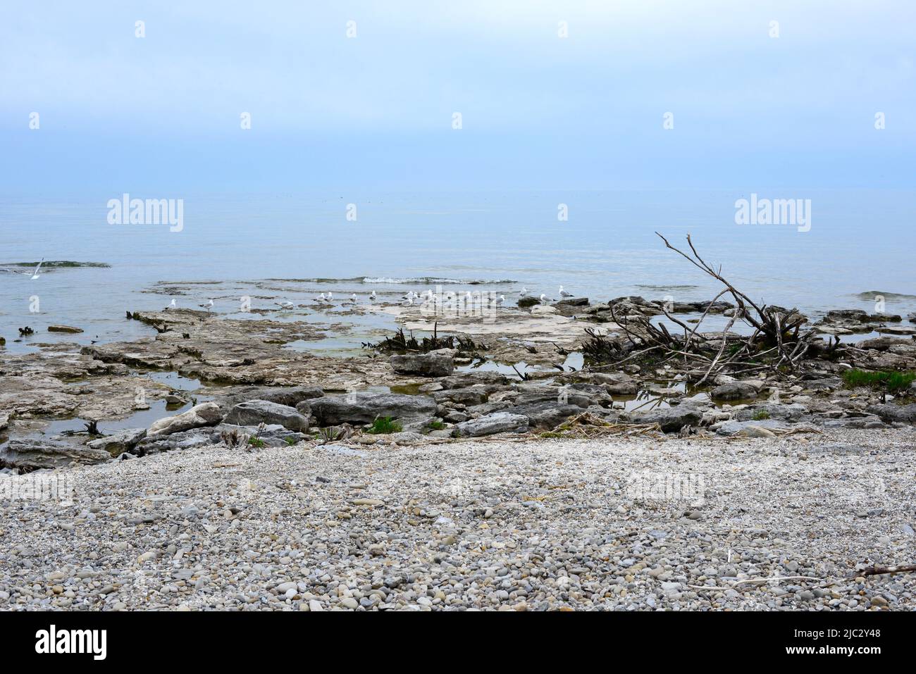 Lake Erie shore and beaches part of the Great Lakes. Freshwater lakes beaches and waterfront images in Southwestern Ontario Canada. Stock Photo