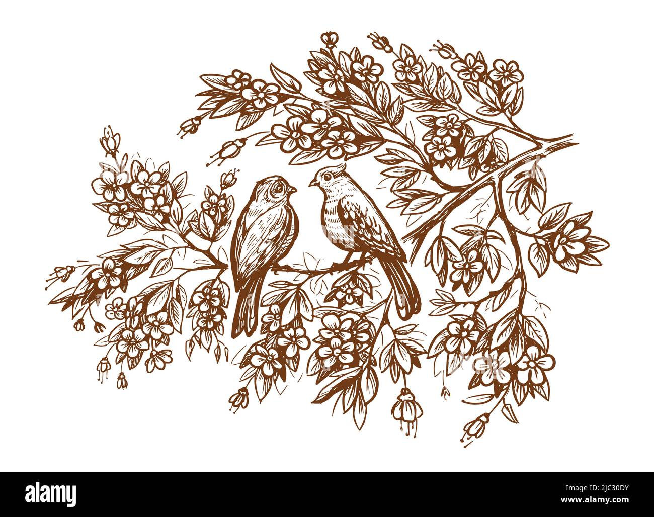 Cute birds with tree branch sketch. Love concept vector. Hand drawn drawing in vintage engraving style Stock Vector