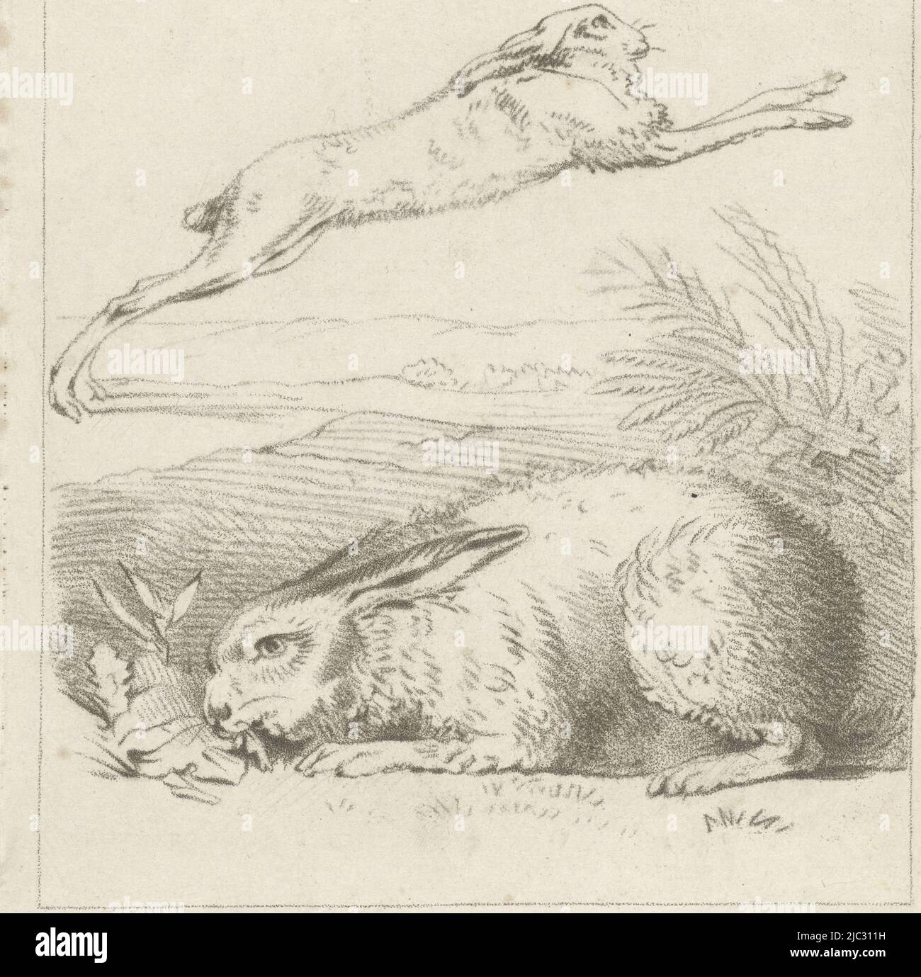Below a rabbit, eating from a plant. Above it a leaping hare., Hare and ...