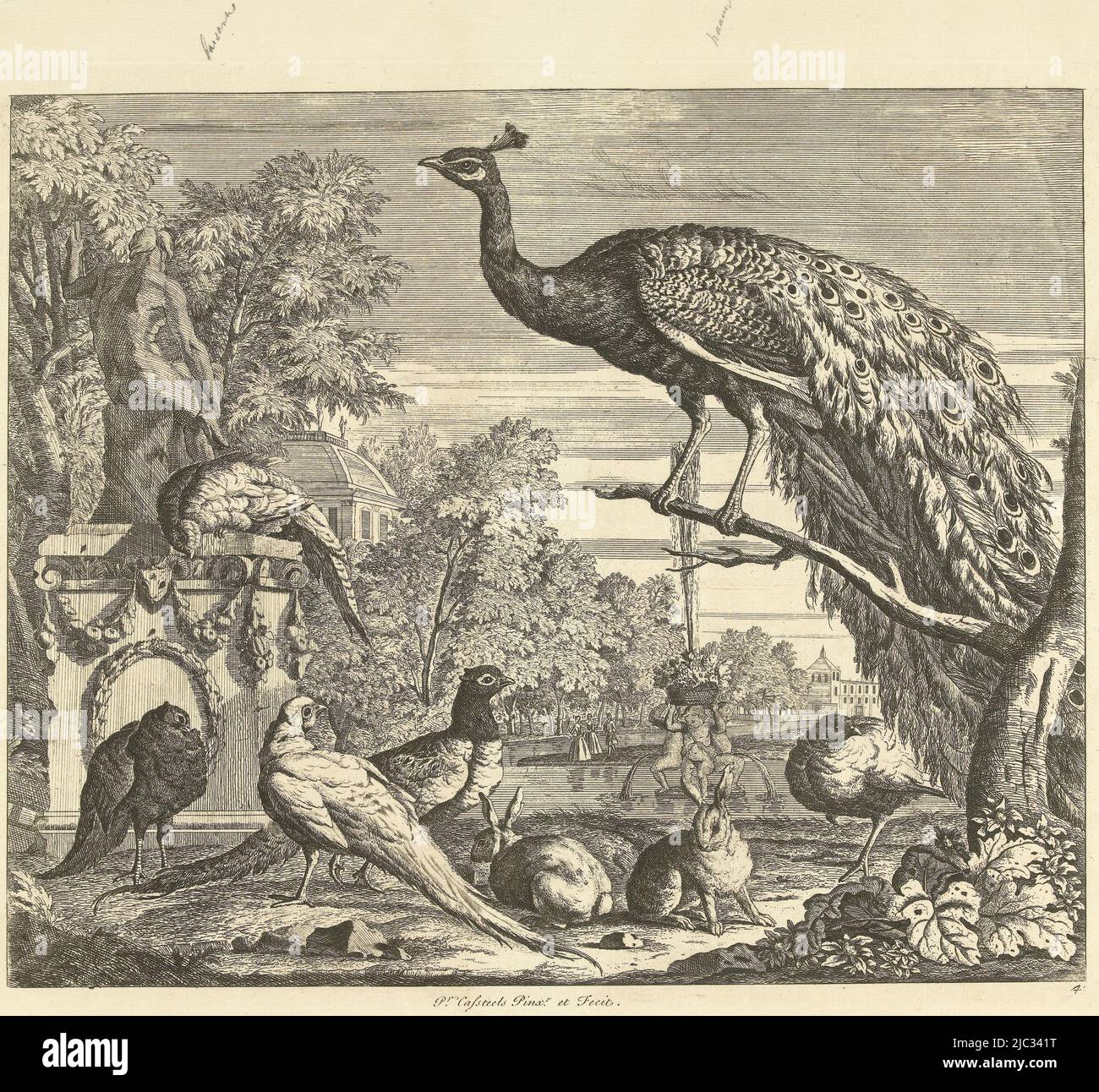 Garden fountain various birds hi-res stock photography and images - Alamy