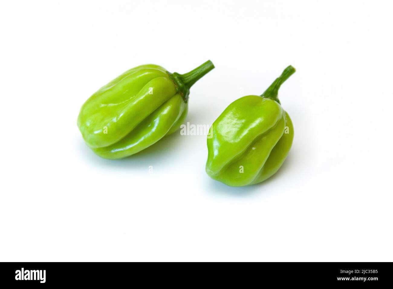 Scotch bonnet peppers isolated on a white studio background Stock Photo