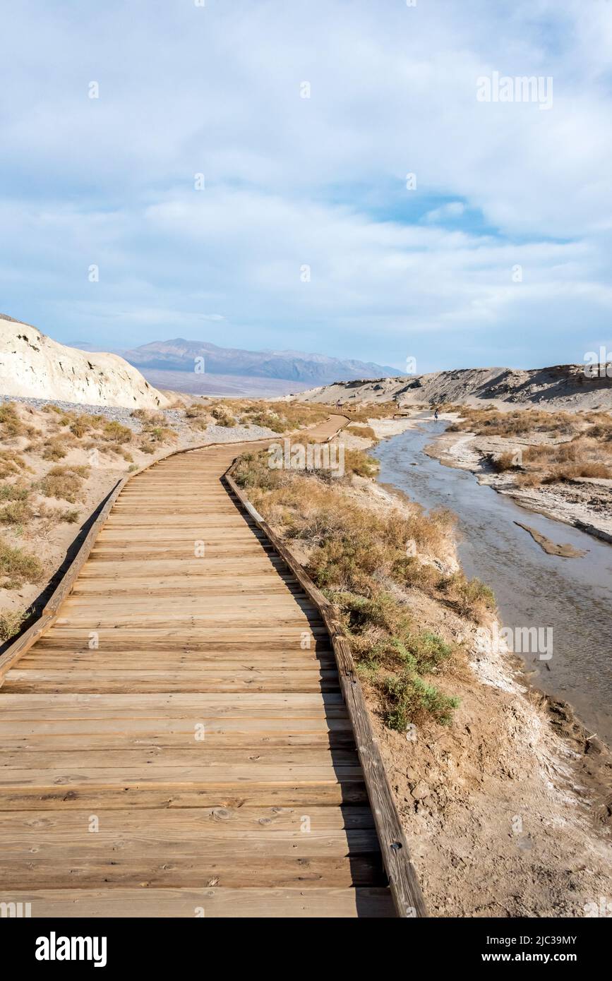 Salt Creek flows beside a wooden boardwalk in Death Valley National Park, where visitors learn about desert pupfish seen here winter and spring. Stock Photo