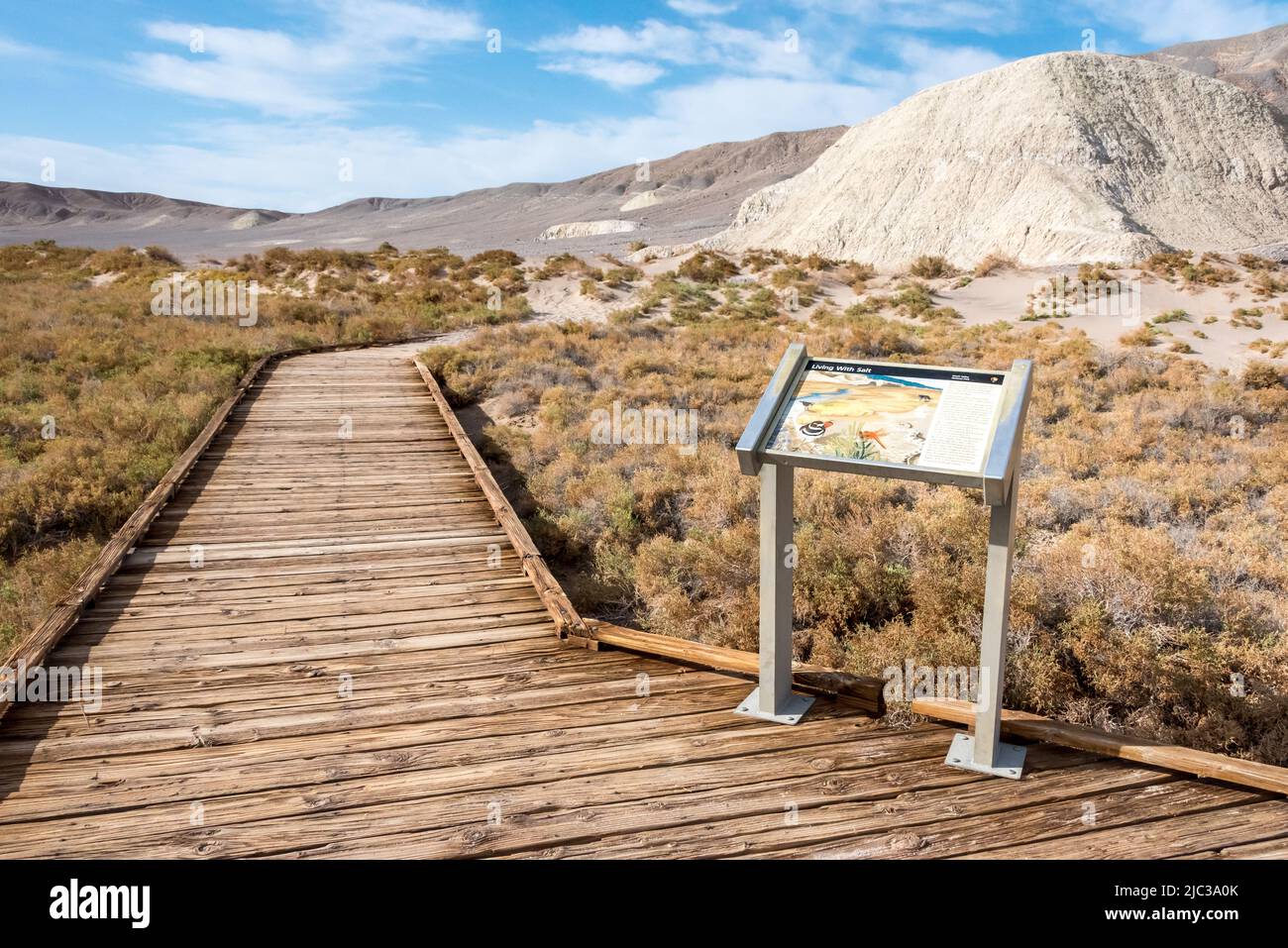 Interpretive sign about 'Living with Salt' on Salt Creek boardwalk trail, an educational and ADA accessible path in Death Valley National Park Stock Photo