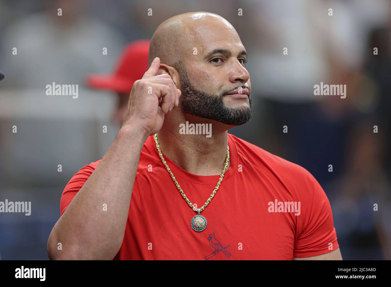 Albert pujols 2009 hi-res stock photography and images - Alamy