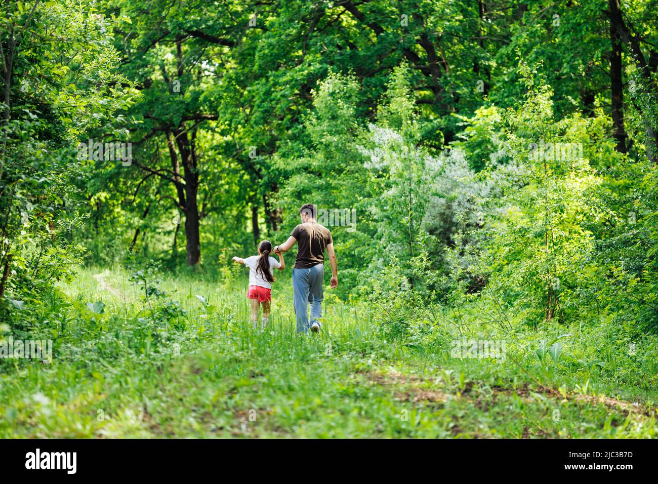 Portrait of wonderful family walking in forest around trees. Little daughter holding hand of father. Summer activities. Stock Photo