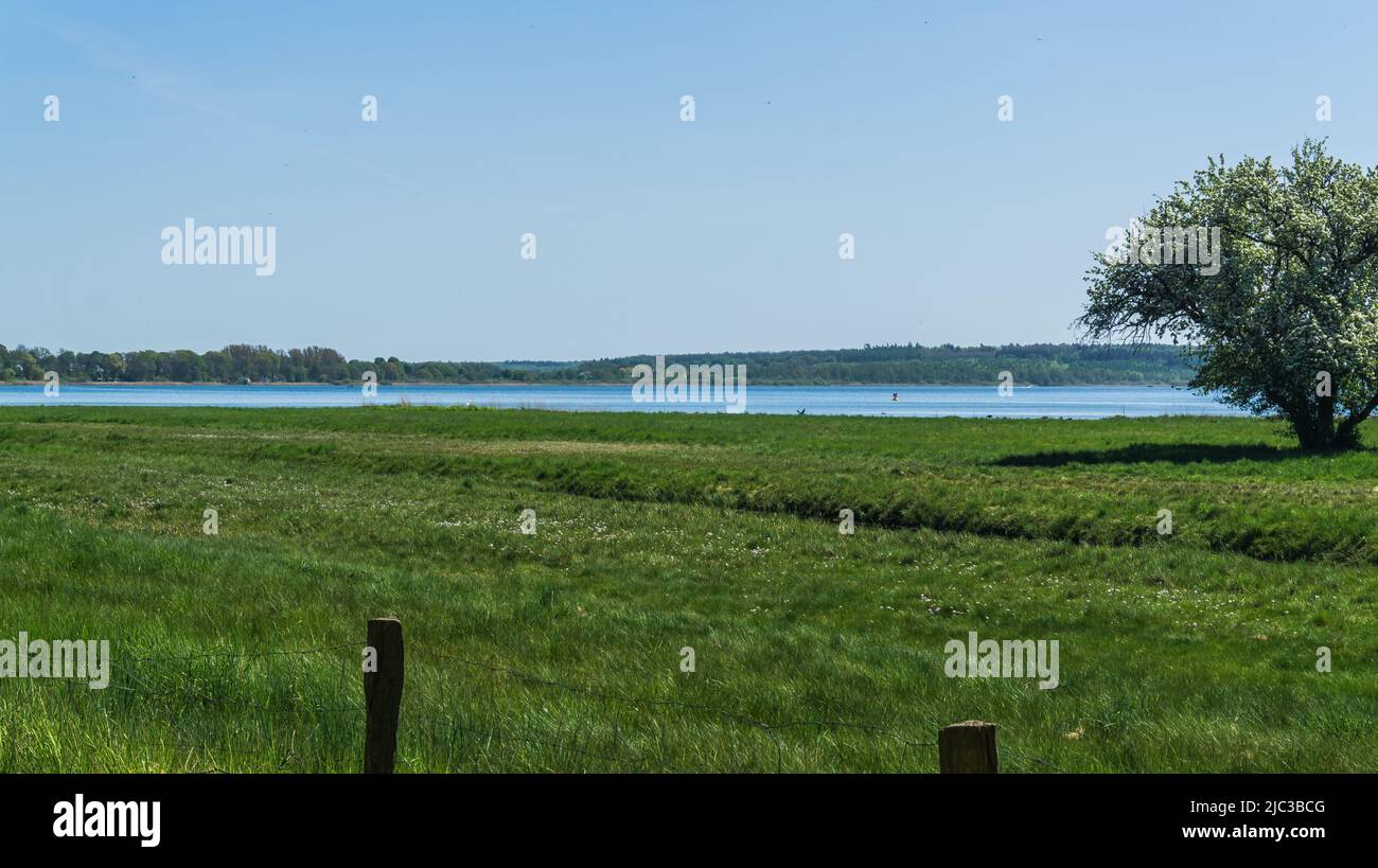 view over the meadow to lake Plauer See in Mecklenburg near Karow Stock Photo