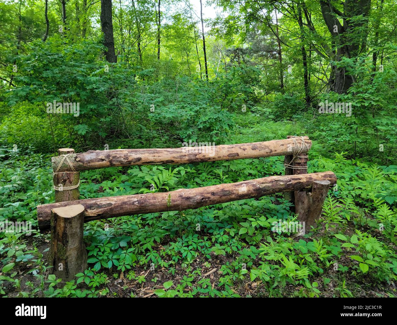 vacant rustic log bench in a green forest Stock Photo