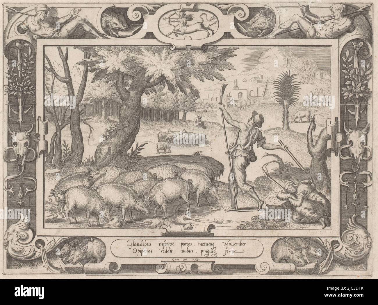 Pig keeper retrieves acorns hires stock photography and images Alamy