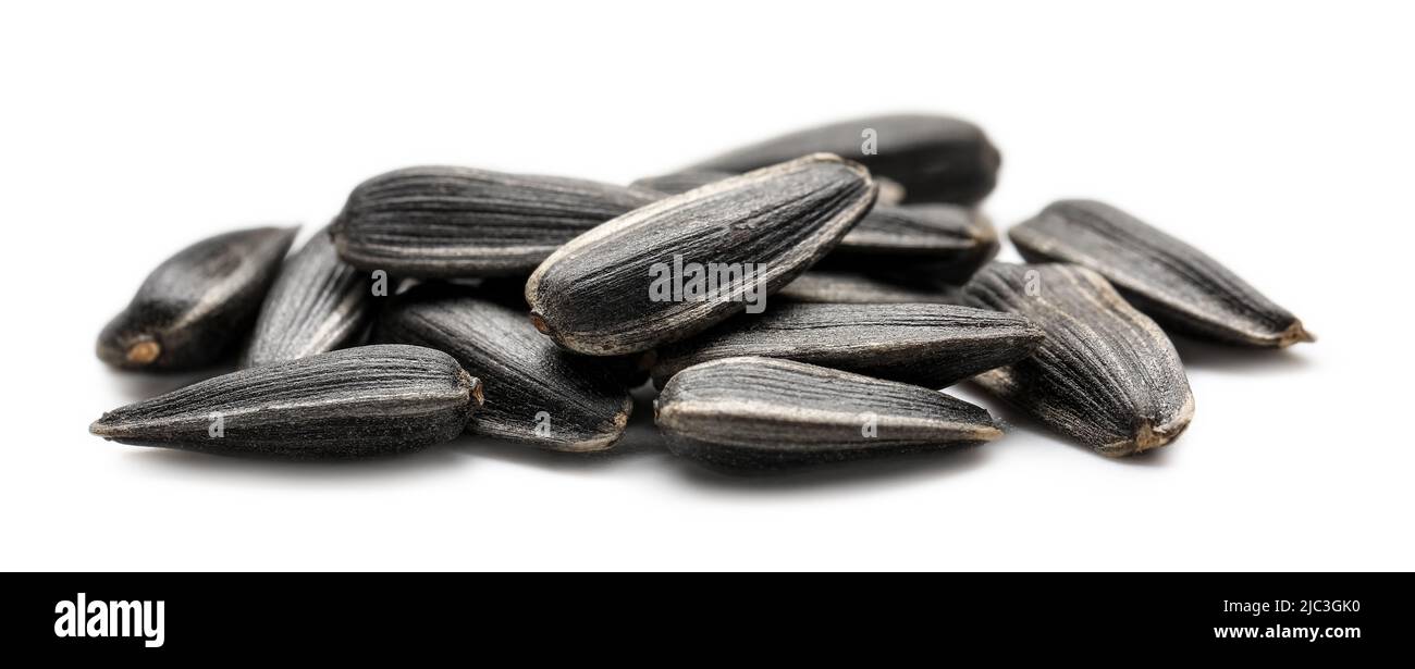 Heap of unpeeled sunflower seeds on white background Stock Photo - Alamy