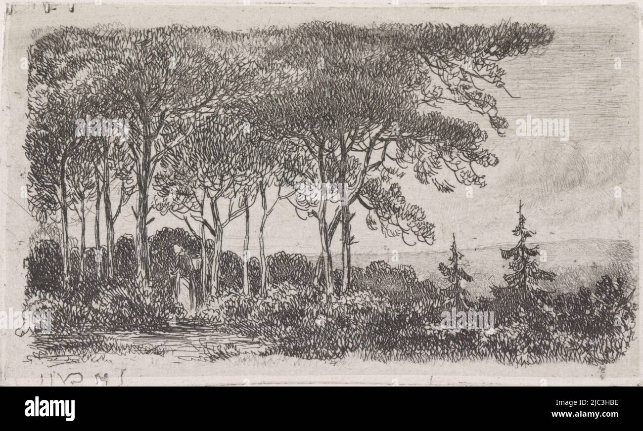 A wooded landscape with a woman carrying a basket on her back in the foreground left, Woman by a line of trees, print maker: Jacob Jan van der Maaten, (mentioned on object), Netherlands, 1830 - 1879, paper, etching, h 51 mm × w 87 mm Stock Photo