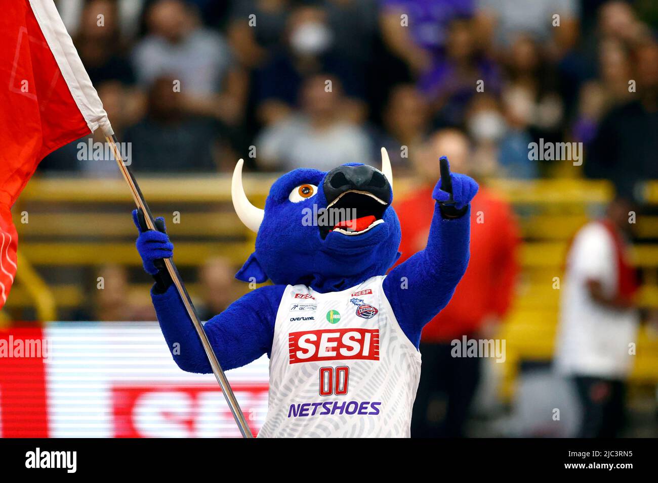 SP - Franca - 06/09/2022 - NBB 2022, FRANCA X FLAMENGO - Franca's mascot  during a match against Flamengo for the NBB 2022 final at Pedrocao Photo:  Thiago Calil/AGIF/Sipa USA Stock Photo - Alamy