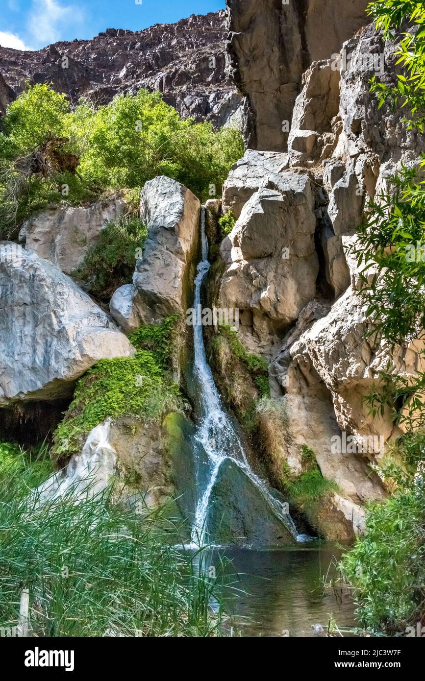 Darwin Falls is a beautiful waterfall in Death Valley National Park flowing year round in a pretty desert oasis reached by a short hike. Stock Photo