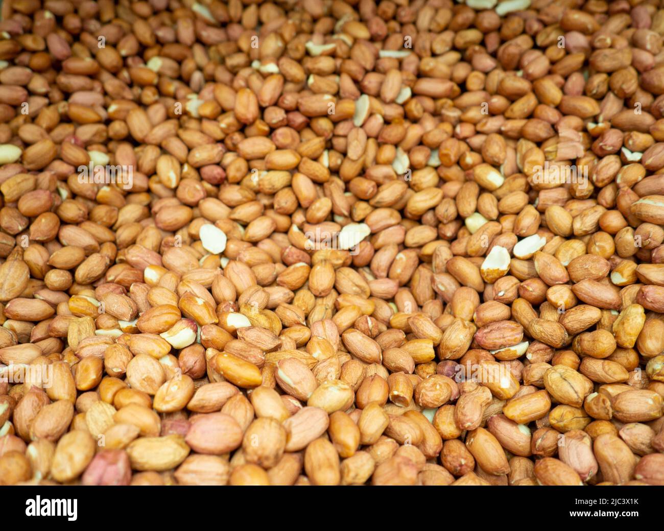 Lots of peanuts. Nuts in the box. Peanut background. The fruit of a