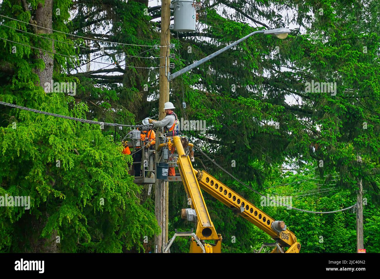 Workers repairing a line up a utility pole. Stock Photo