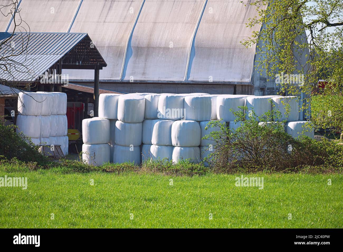 Plastic-wrapped bales of hay stacked beside a barn. Stock Photo