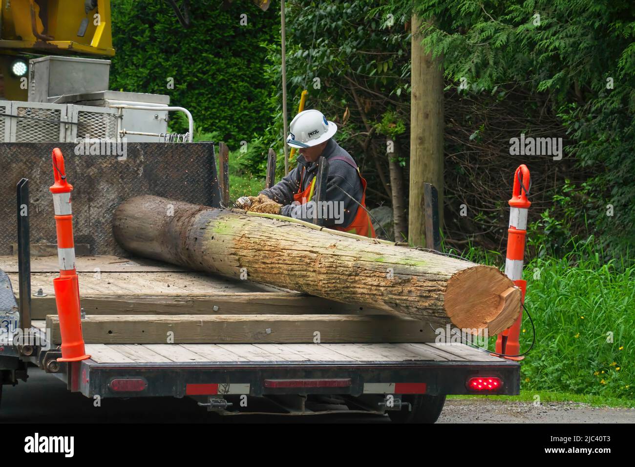 Maintenance repairman removing and replacing a utility pole along a roadway. Lower Mainland, B. C., Canada. Stock Photo