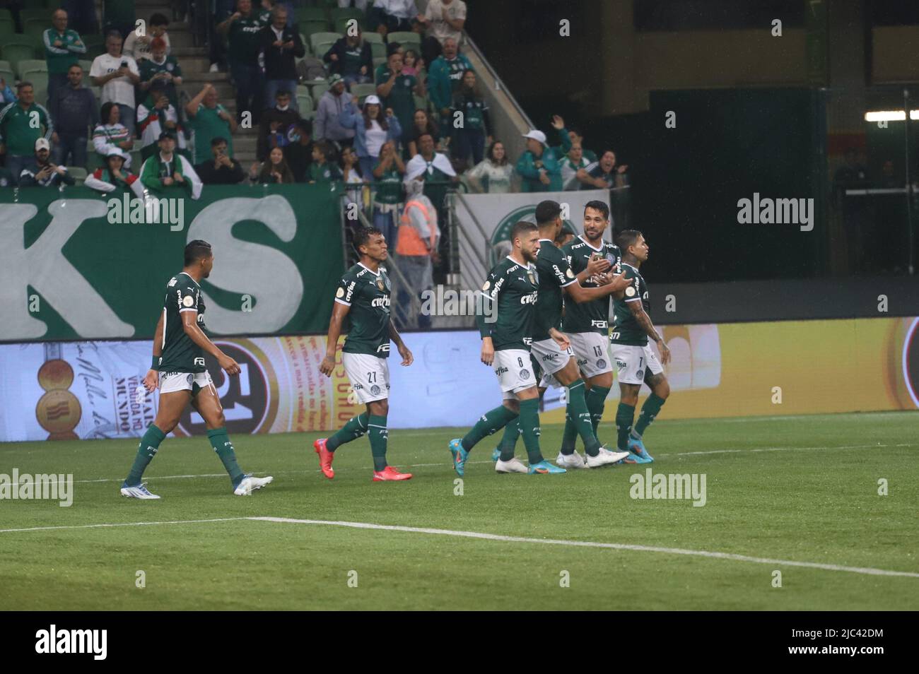 Ingressos Twice em São Paulo, em Allianz Parque - (Arena Palmeiras