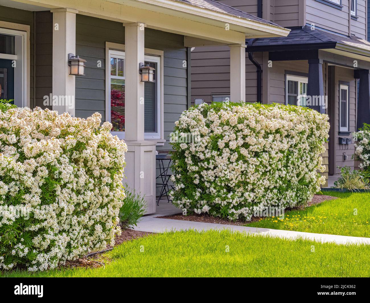 Entrance of a typical townhouse with a patio in Vancouver, Canada. Home