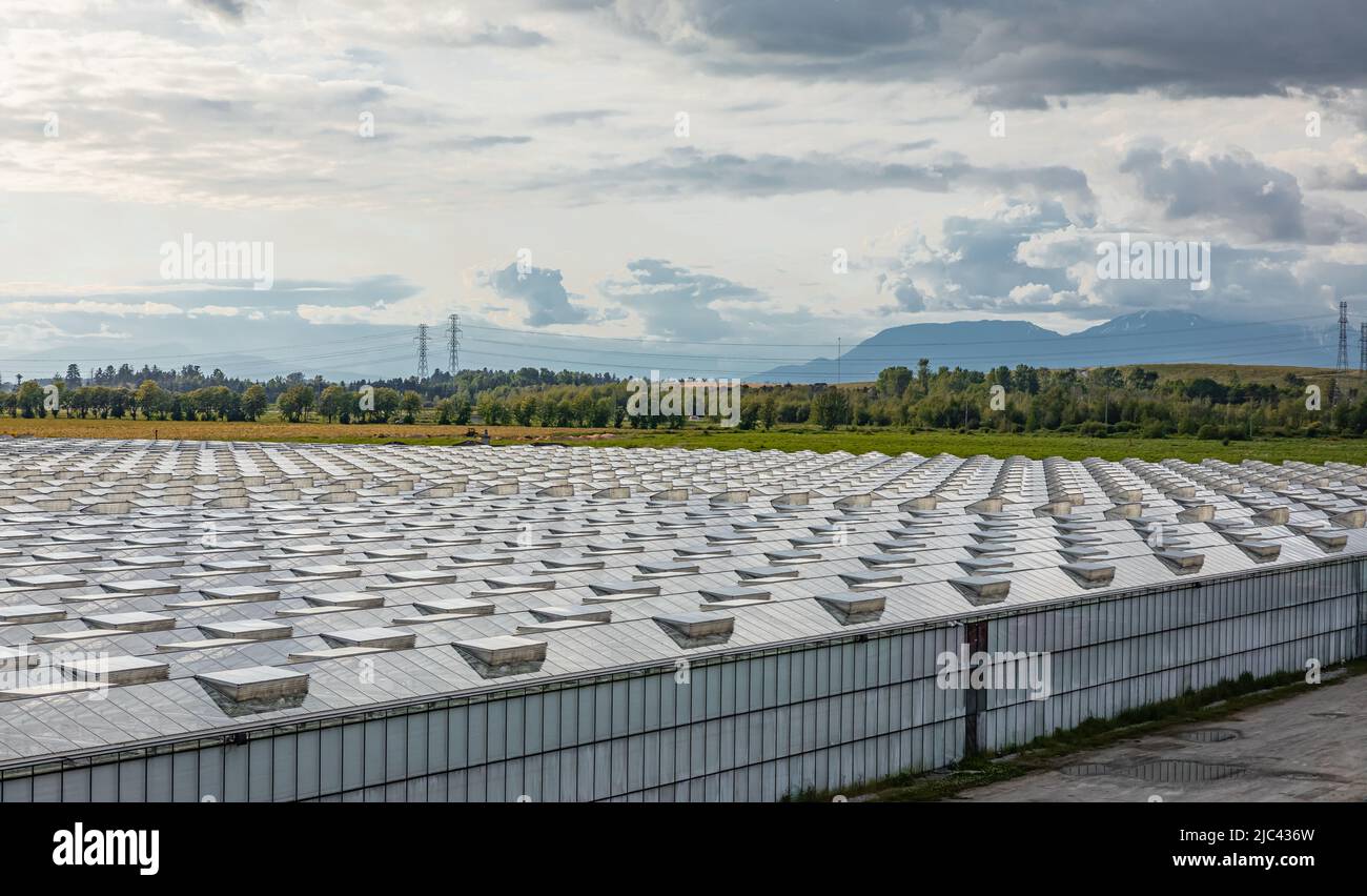 Glass greenhouses from above at sunset. Agriculture business. Greenery. Contemporary technologies. Modern large commercial greenhouse construction pro Stock Photo