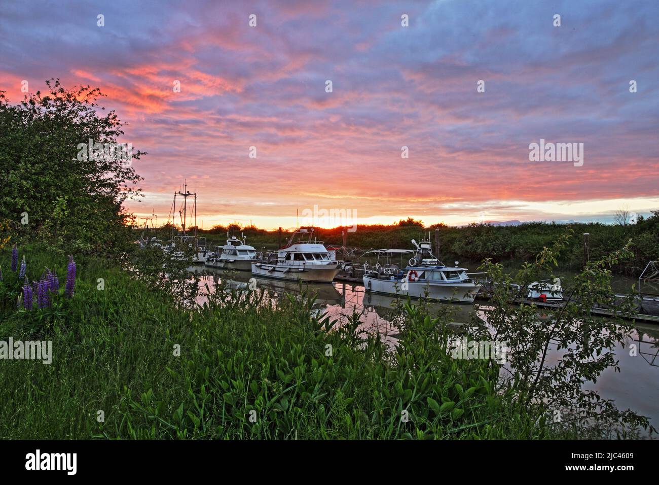 Boats on a river during a summer sunset Stock Photo - Alamy