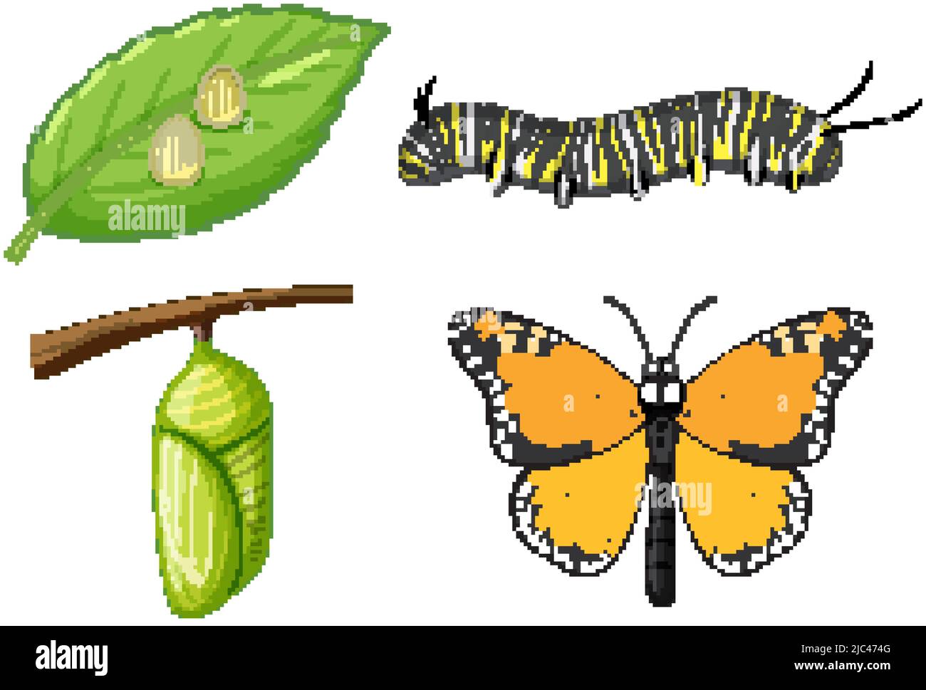 Life Cycle of Monarch Butterfly illustration Stock Vector