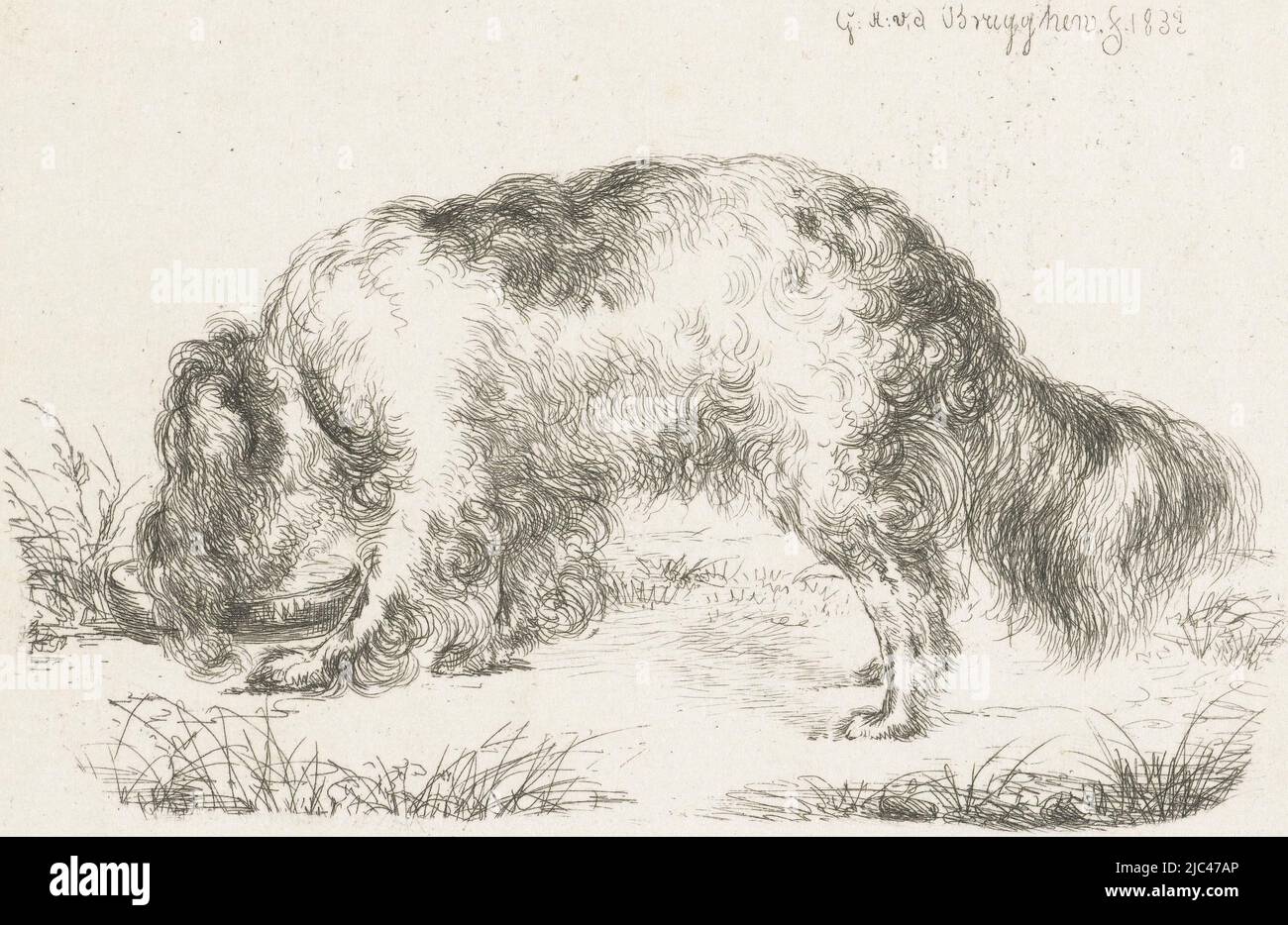 Drinking Dog, print maker: Guillaume Anne van der Brugghen, (mentioned on object), Guillaume Anne van der Brugghen, Netherlands, 1832, paper, etching, h 81 mm × w 120 mm Stock Photo