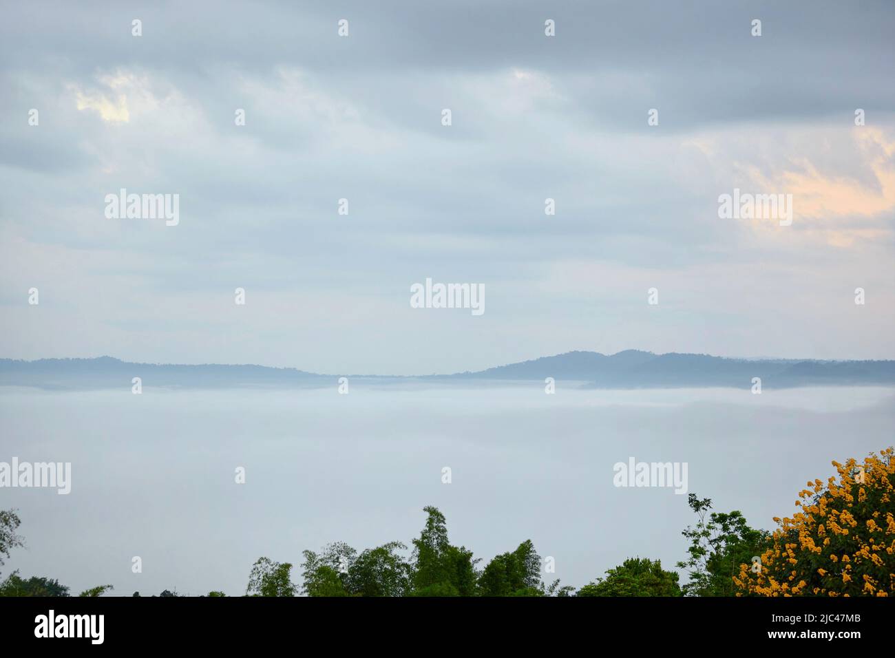 Fog over the forest in early morning Stock Photo - Alamy