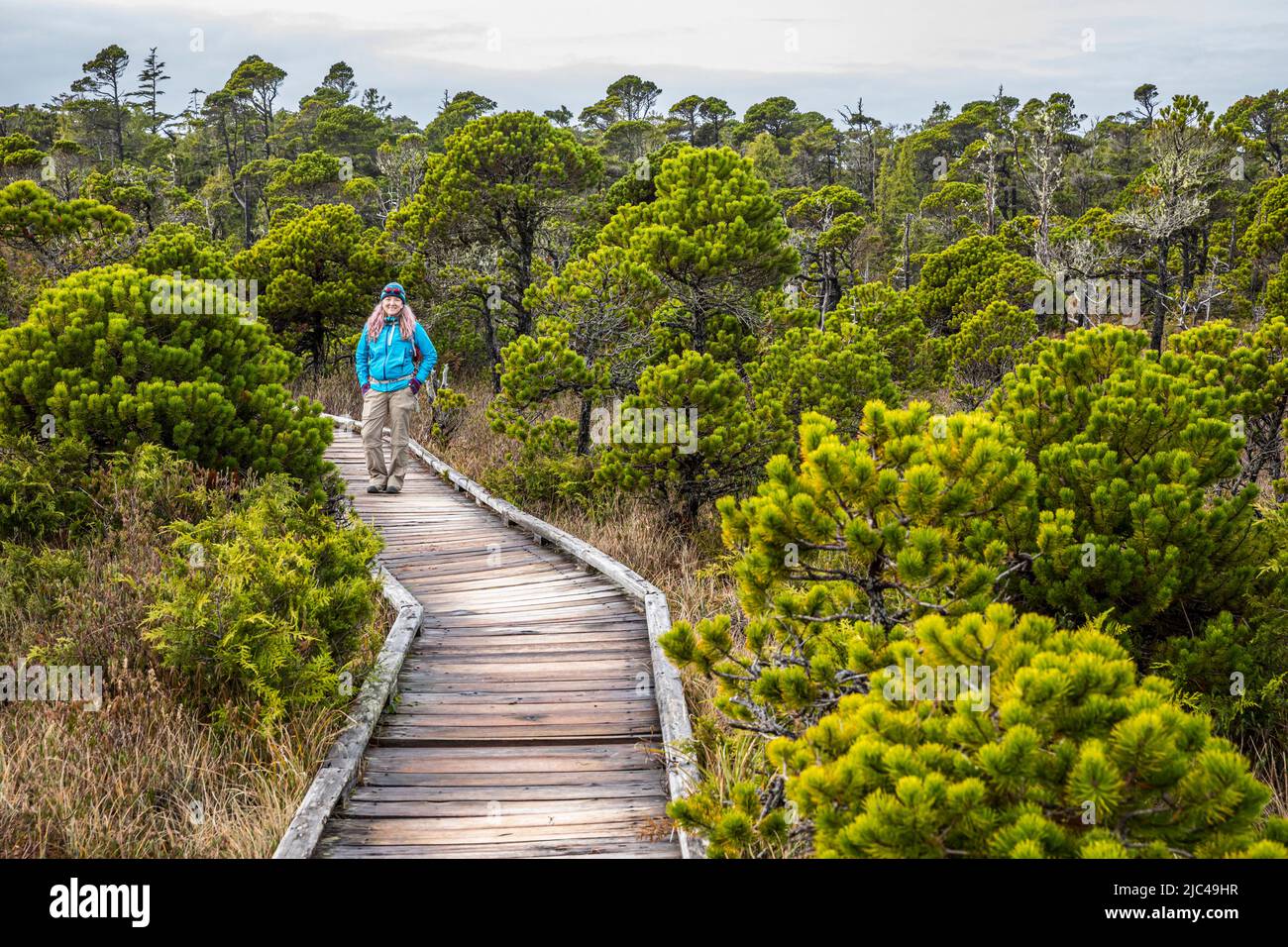 A woman on the boardwalk through Shorepine Bog in Pacific Rim National Park, Canada. Stock Photo