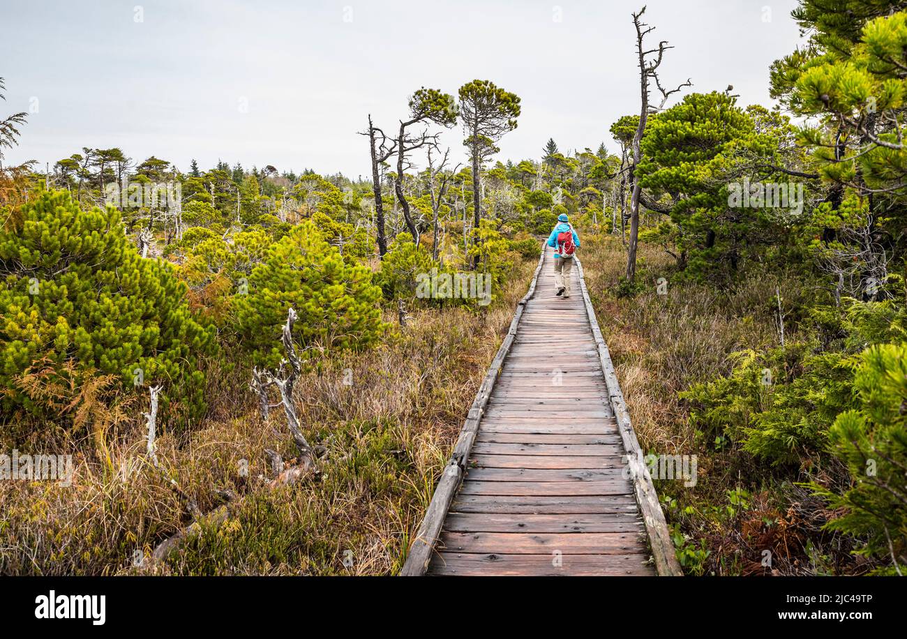 A woman on the boardwalk through Shorepine Bog in Pacific Rim National Park, Canada. Stock Photo