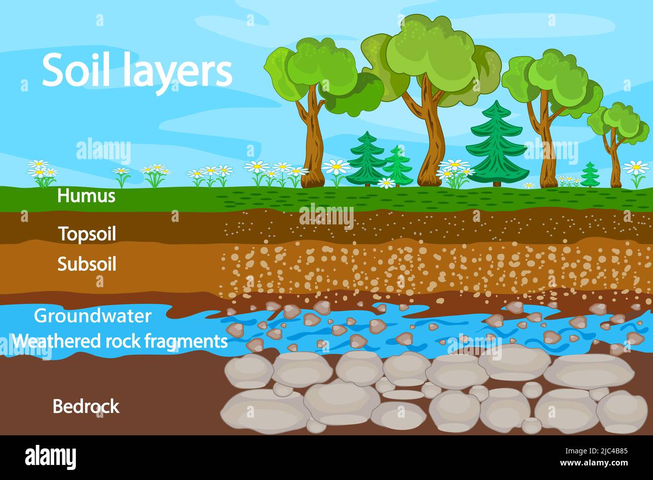 Diagram for layer of soil. Soil layers scheme with grass, earth texture, groundwater and stones. Cross section of humus underground soil layers.Vector Stock Vector