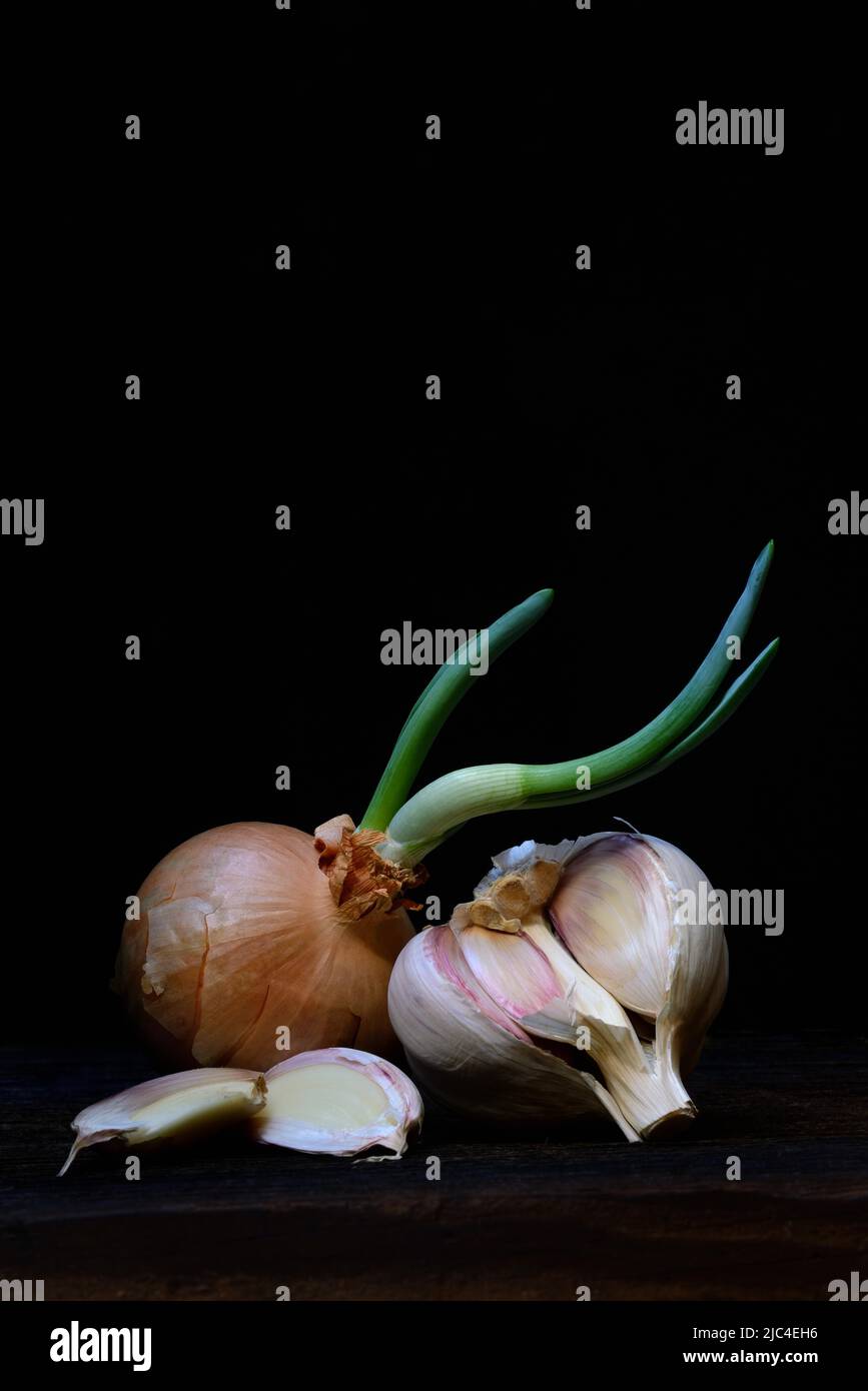 Sprouting common onion (Allium cepa) and garlic (Allium sativum) bulb