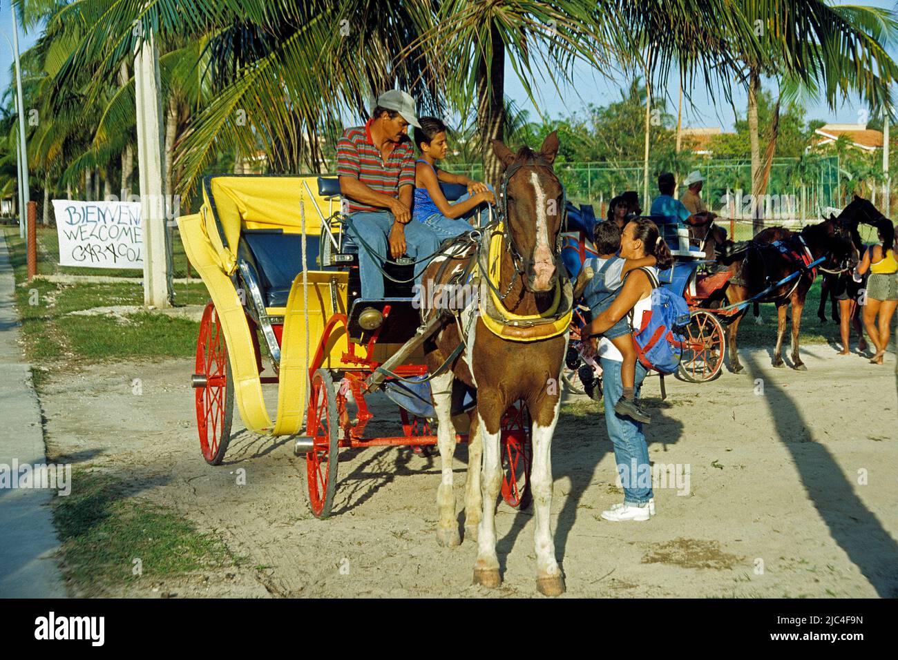 Cuban people on a horse-drawn carriage, popular transport, St. Lucia, Cuba, Caribbean Stock Photo