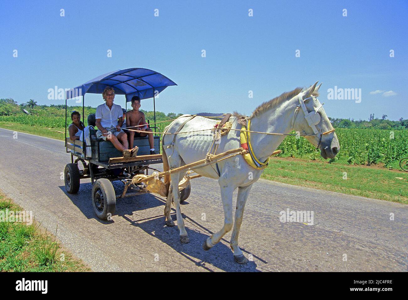 Cuban people on a horse-drawn carriage, popular transport, St. Lucia, Cuba, Caribbean Stock Photo